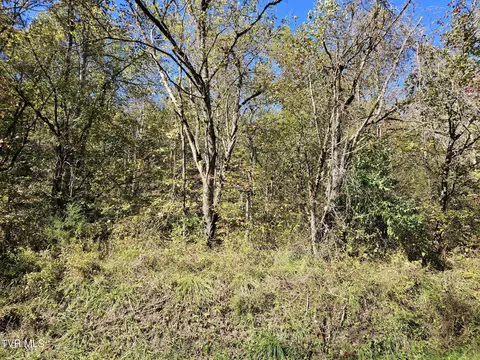 00 Cave Springs Road Rogersville Tn 37857, Rogersville, TN 37857