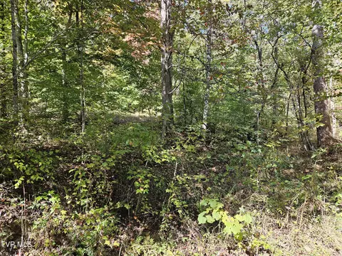 0 Cave Springs Road Rogersville Tn 37857, Rogersville, TN 37857