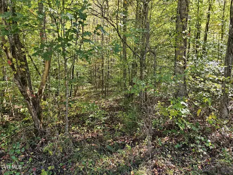 0000 Cave Springs Road Rogersville Tn 37857, Rogersville, TN 37857