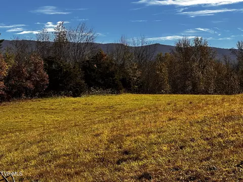 000 S Water Fork Road Greeneville Tn 37743, Greeneville, TN 37743