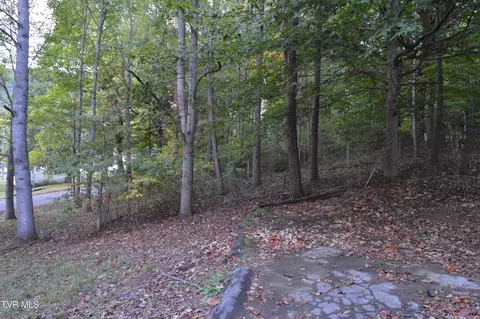 743 N Elm Avenue Erwin Tn 37650, Erwin, TN 37650 photo 43