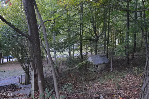743 N Elm Avenue Erwin Tn 37650, Erwin, TN 37650 photo 41