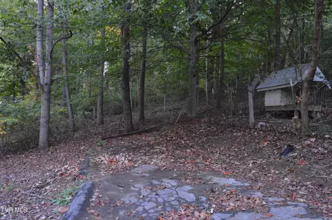 743 N Elm Avenue Erwin Tn 37650, Erwin, TN 37650 photo 42