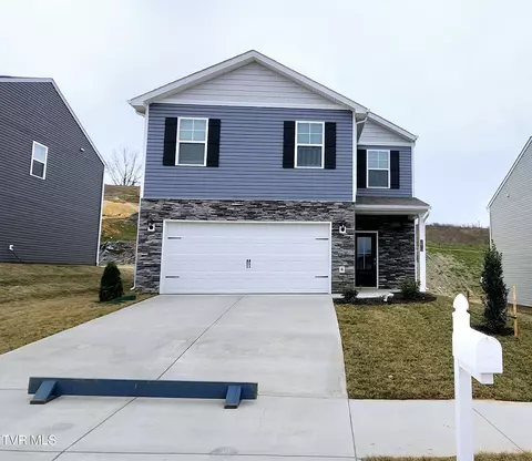 1613 Fox Meadows Circle Bluff City Tn 37618, Bluff City, TN 37618