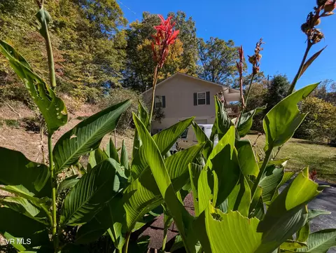 3020 Canton Road Blackwater Va 24221, Blackwater, VA 24221