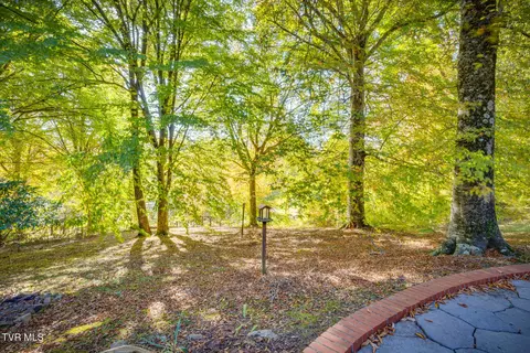904 Echo Lane Johnson City Tn 37604, Johnson City, TN 37604 photo 30