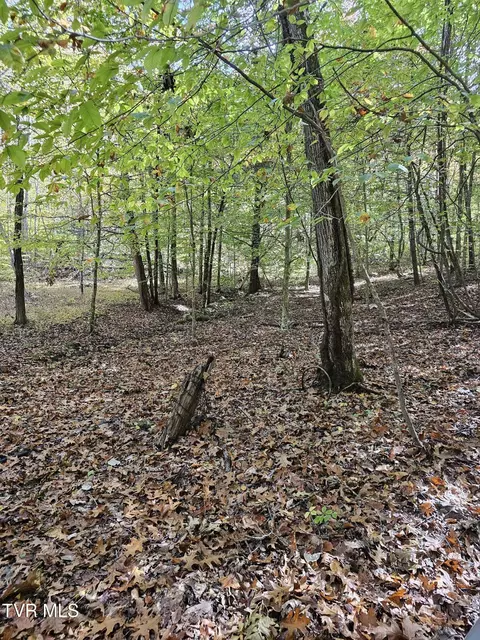 5 85 Acres Judge Clark Road Jonesborough Tn 37659, Jonesborough, TN 37659