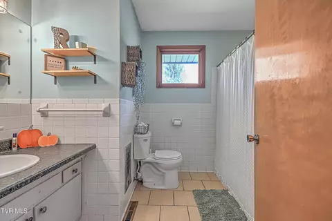 Bath - 136 Valleyview Street Gray Tn 37615, Gray, TN 37615 photo 3 of 4