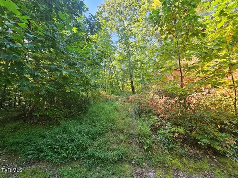 lot17 Fox Hollow Drive Tazewell Va 24630, Tazewell, VA 24630
