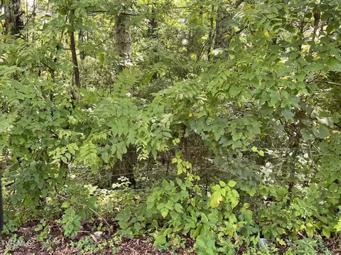 0 Madeline Lane Rogersville Tn 37857, Rogersville, TN 37857