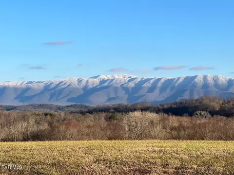 lot92 River View Drive Greeneville Tn 37743, Greeneville, TN 37743