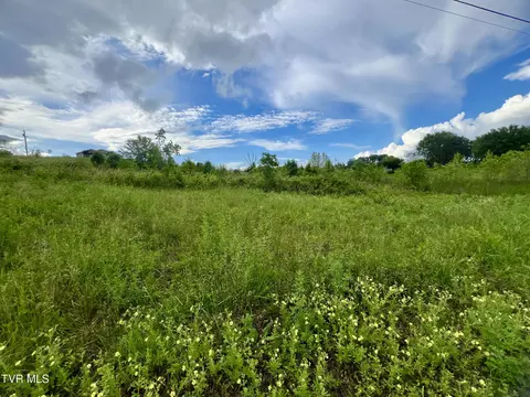 lot5 Carpenters Chapel Road Mosheim Tn 37818, Mosheim, TN 37818