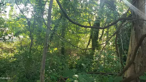 1113 Taylor Lane Kingsport Tn 37660, Kingsport, TN 37660