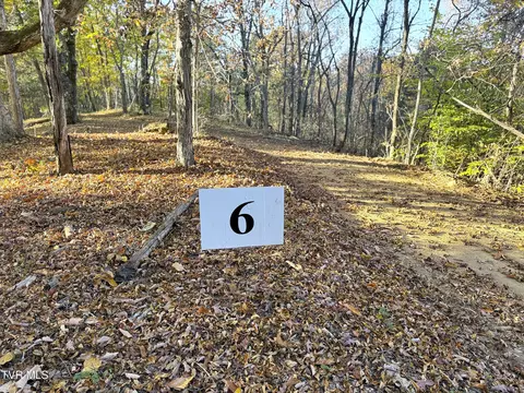 Tract 6 Topaz Way, Parrottsville, TN 37843