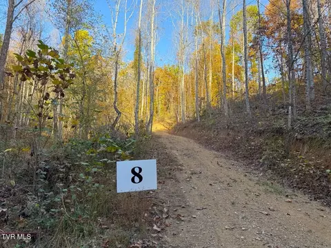 Tract 8 Topaz Way, Parrottsville, TN 37843