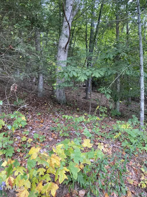 tbd Dewey Dugger Road Johnson City Tn 37601, Johnson City, TN 37601
