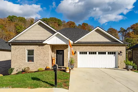 191 Quiet Stroll Lane Gray Tn 37615, Gray, TN 37615