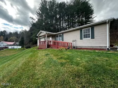 113 Anne Leigh Drive Roan Mountain Tn 37687, Roan Mountain, TN 37687