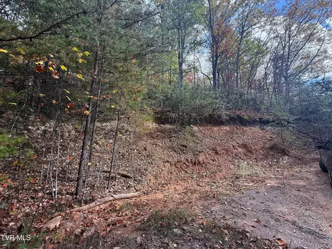 1 41 Green Forest Road Cosby Tn 37722, Cosby, TN 37722