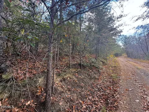 2 52 Acres Green Forest Road Cosby Tn 37722, Cosby, TN 37722
