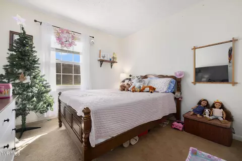 Bedroom - 807 Jared Drive 7 Johnson City Tn 37604, Johnson City, TN 37604 photo 4 of 7