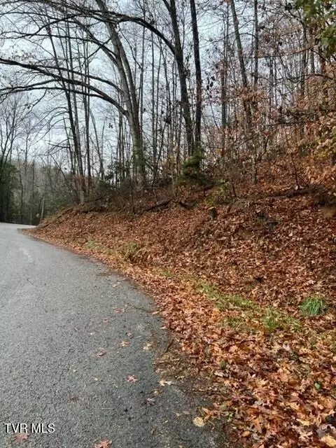 tbd Big Hill Road Pennington Gap Va 24277, Pennington Gap, VA 24277