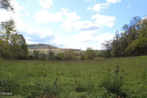 tbd Middle Wallens Creek Road Duffield Va 24244, Duffield, VA 24244