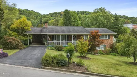 312 Lambeth Drive Johnson City Tn 37601, Johnson City, TN 37601 photo 4