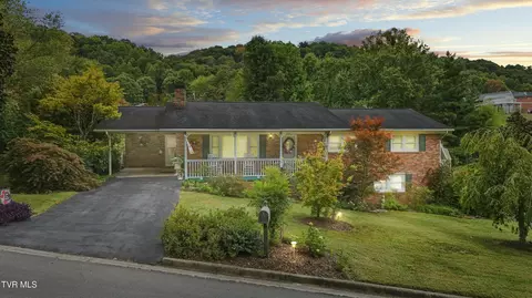 312 Lambeth Drive Johnson City Tn 37601, Johnson City, TN 37601 photo 3