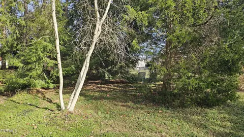 904 Mountainview Road Erwin Tn 37650, Erwin, TN 37650 photo 12