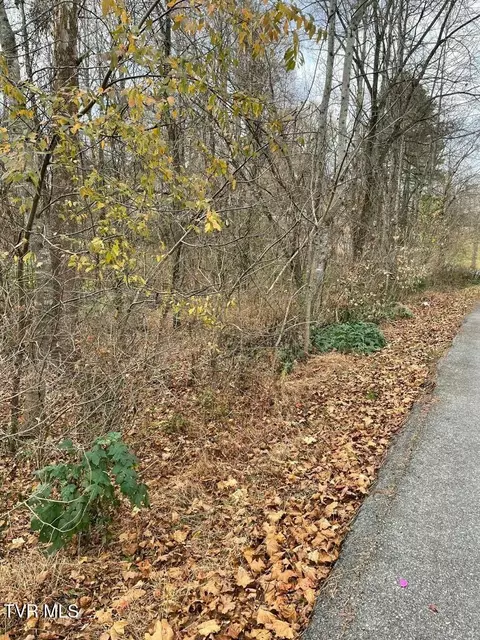 tbd Duty Drive Bluff City Tn 37618, Bluff City, TN 37618