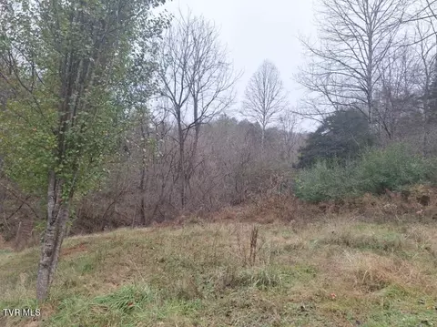 4446 Limestone Valley Road Duffield Va 24244, Duffield, VA 24244 photo 10