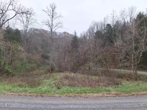 4446 Limestone Valley Road Duffield Va 24244, Duffield, VA 24244 photo 19