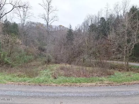 4446 Limestone Valley Road Duffield Va 24244, Duffield, VA 24244 photo 18