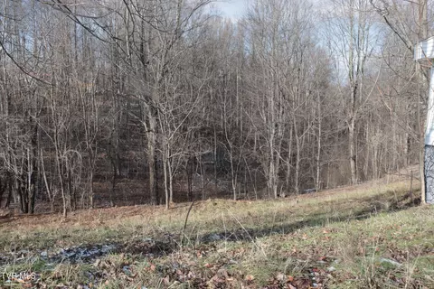 Other - 354 Flat Top Road Coeburn Va 24230, Coeburn, VA 24230 photo 3 of 32
