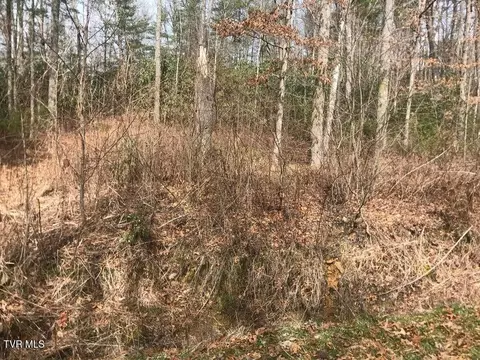 00 Hidden Drive Mountain City Tn 37683, Mountain City, TN 37683