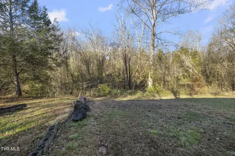 3086 Old State Route 34 Limestone Tn 37681, Limestone, TN 37681 photo 41