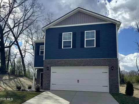 1003 Tomahawk Terrace Johnson City Tn 37604, Johnson City, TN 37604