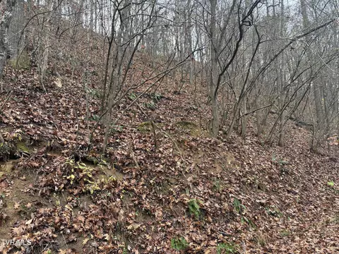 0 Fox Hollow Lane Bluff City Tn 37618, Bluff City, TN 37618