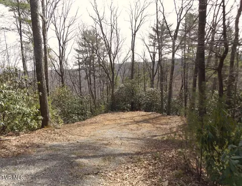 704 Heartwood Lot 55 Lane Butler Tn 37640, Butler, TN 37640