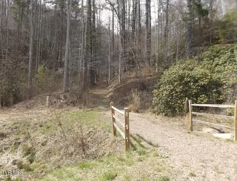 304 Honeymoon Lot 69 Hollow Butler Tn 37640, Butler, TN 37640