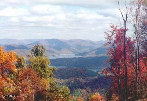 1012 Locust Lot 40 Lane Butler Tn 37640, Butler, TN 37640