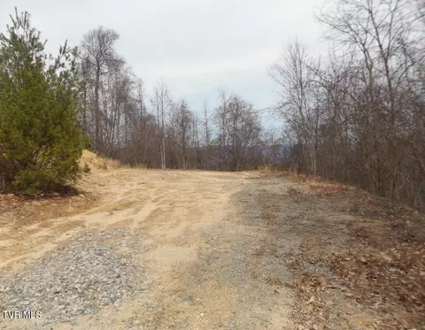 1012 Locust Lot 40 Lane Butler Tn 37640, Butler, TN 37640
