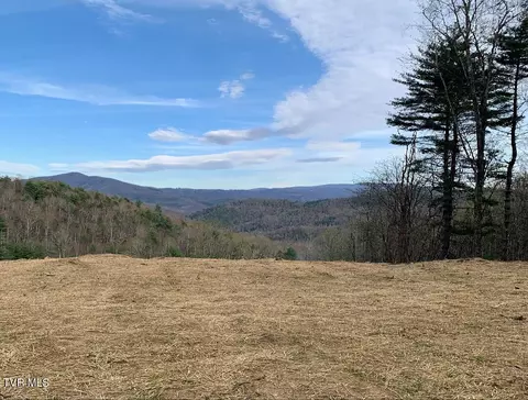 306 Honeymoon Lot 68 Hollow Butler Tn 37640, Butler, TN 37640