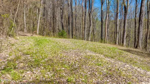 308 Honeymoon Lot 67 Hollow 67 Butler Tn 37640, Butler, TN 37640