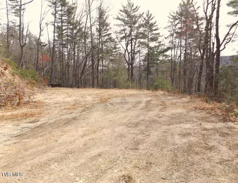 702 Heartwood Lot 56 Lane Butler Tn 37640, Butler, TN 37640