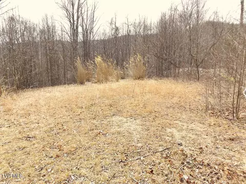 1213 Mays Ridge Lot 17 Road Butler Tn 37640, Butler, TN 37640