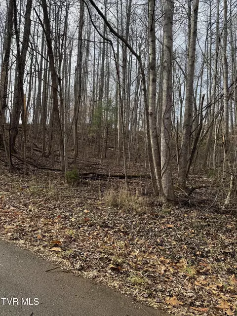 0 Golf Course Road Unicoi Tn 37692, Unicoi, TN 37692