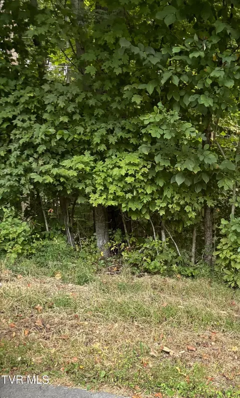53 Golf Course Rd Road Unicoi Tn 37692, Unicoi, TN 37692