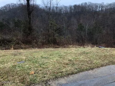 104 W Wilkshire Place Bristol Tn 37620, Bristol, TN 37620